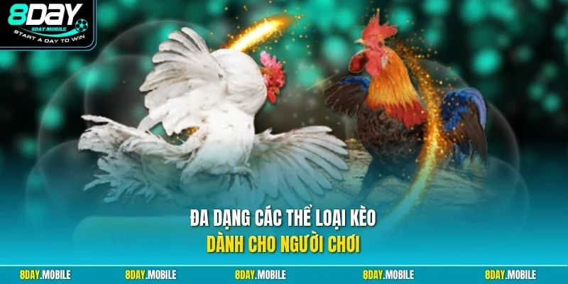 Đa dạng các thể loại kèo dành cho người chơi