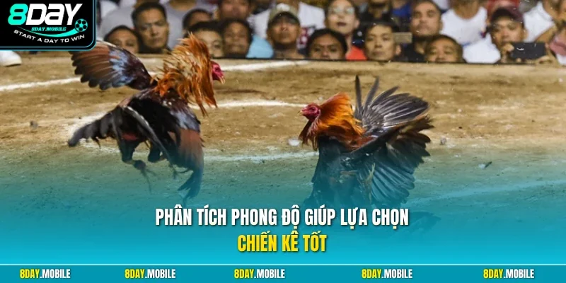 Phân tích phong độ giúp lựa chọn chiến kê tốt