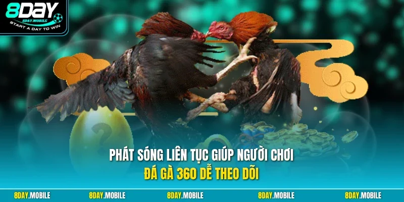 Phát sóng liên tục giúp người chơi đá gà 360 dễ theo dõi