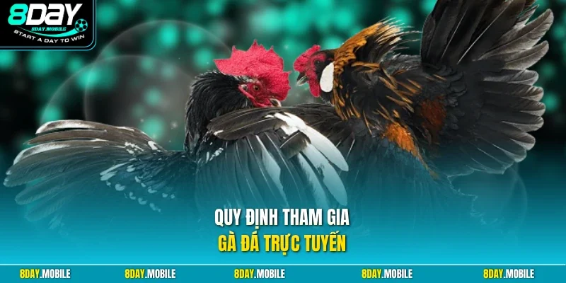 Quy định tham gia gà đá trực tuyến